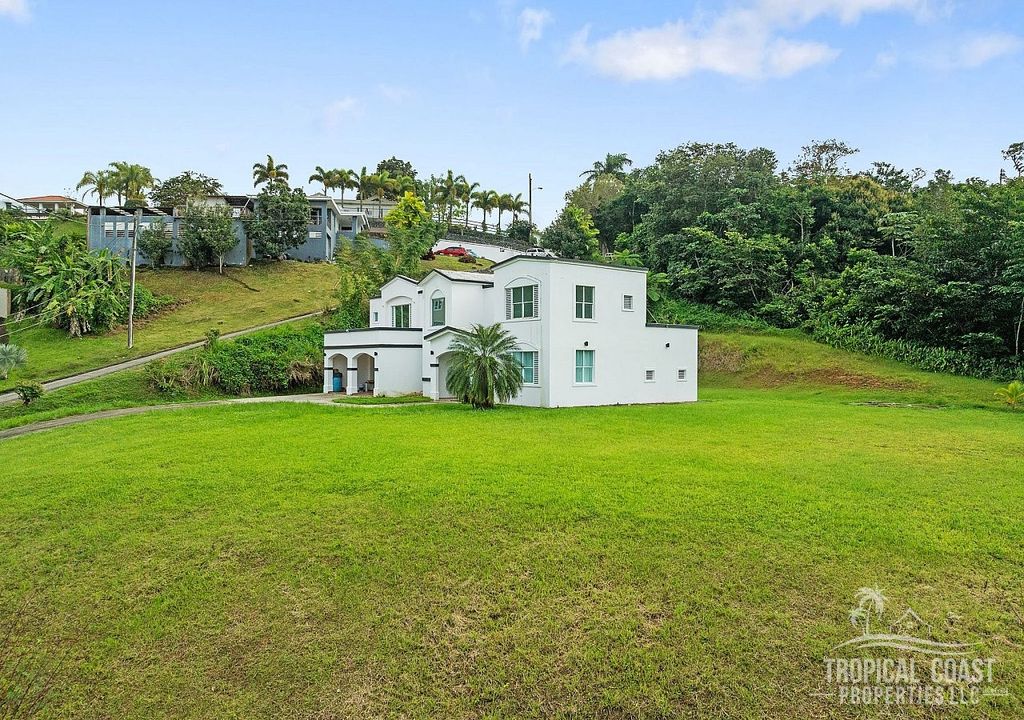 #4, Urb. Brisas Del Bosque Cayey 00736 PR