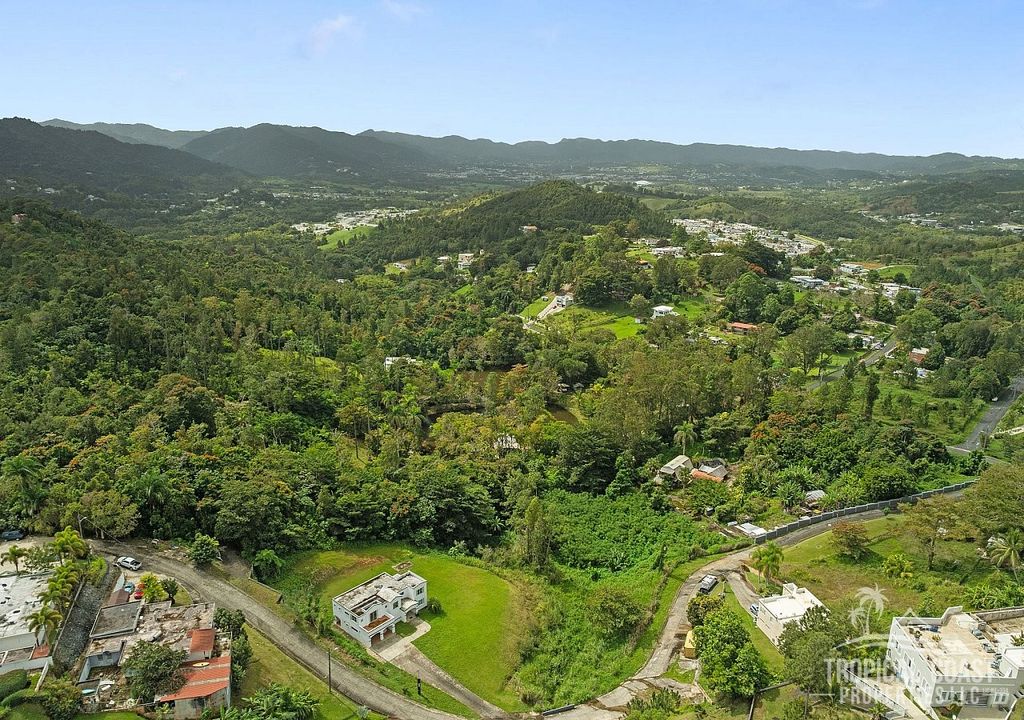 #4, Urb. Brisas Del Bosque Cayey 00736 PR