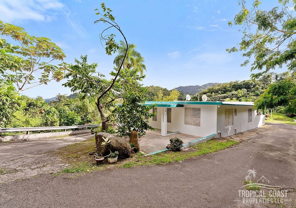 Bo. Matuyas-carretera P.r. 759 Km 7.5, Maunabo - 3