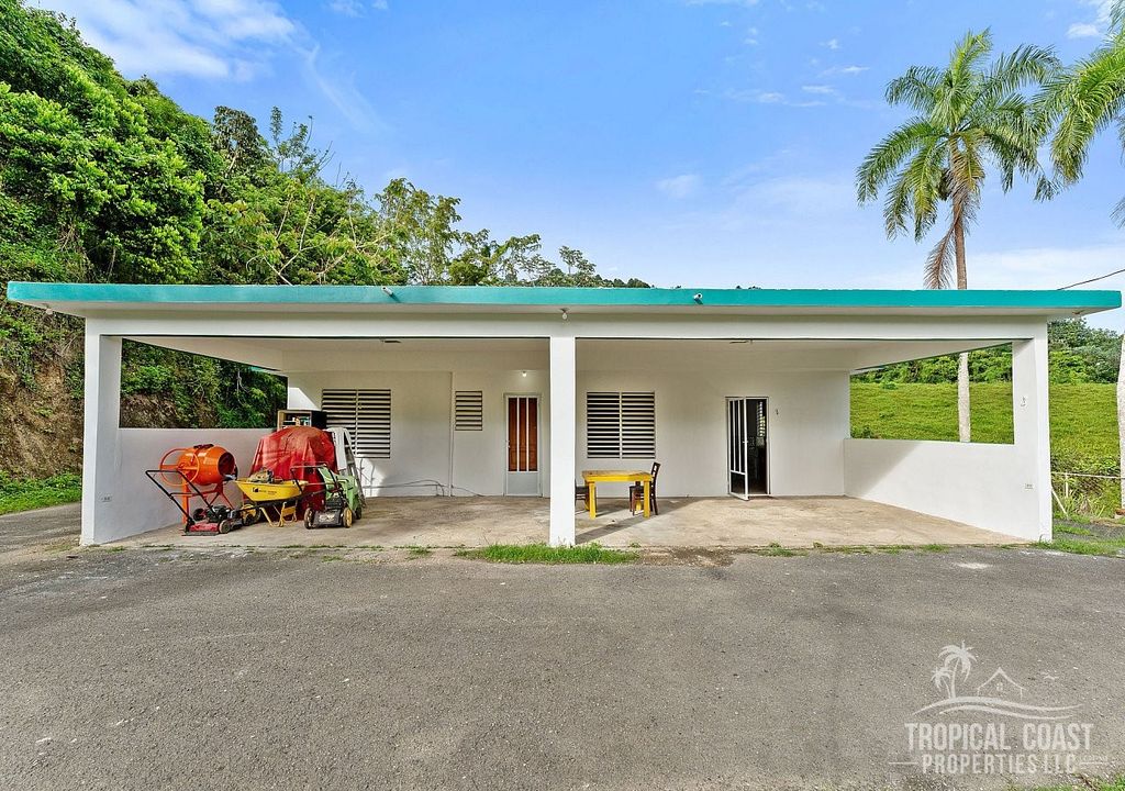 Bo. Matuyas-carretera P.r. 759 Km 7.5, Maunabo - 16