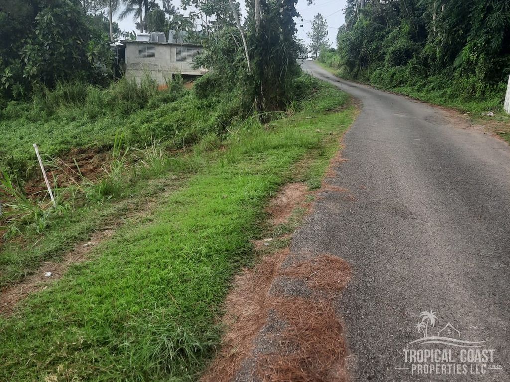 Carr 3301 Km 1.65- Parcela A Moca 00676 PR