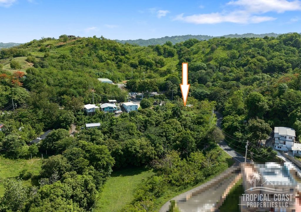 Bo Barrero- Carr 429 Rincon 00677 PR