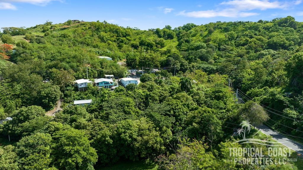 Bo Barrero- Carr 429 Rincon 00677 PR