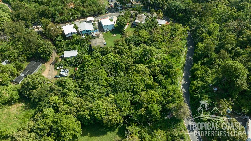 Bo Barrero- Carr 429 Rincon 00677 PR