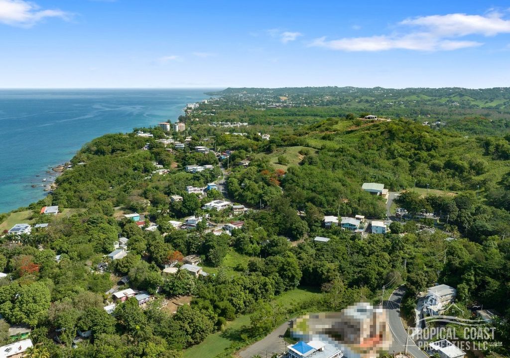 Bo Barrero- Carr 429 Rincon 00677 PR