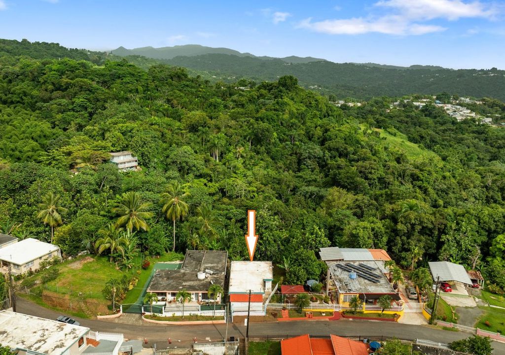 Bo.quemado - Carr 3353 Km Hm 0.2 Mayaguez 00680 PR