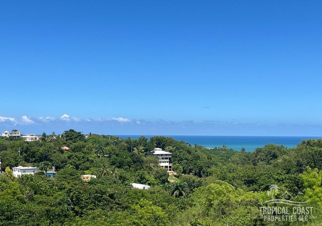 Bo Puntas- Carr 413 Km 5.2 Rincon 00677 PR