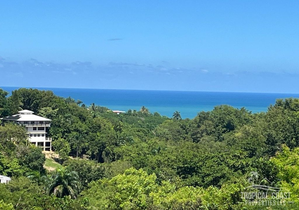 Bo Puntas- Carr 413 Km 5.2 Rincon 00677 PR