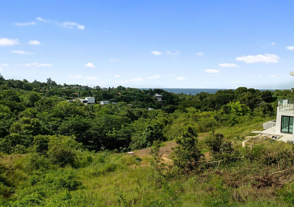 Bo Puntas- Carr 413 Km 5.2 Rincon 00677 PR