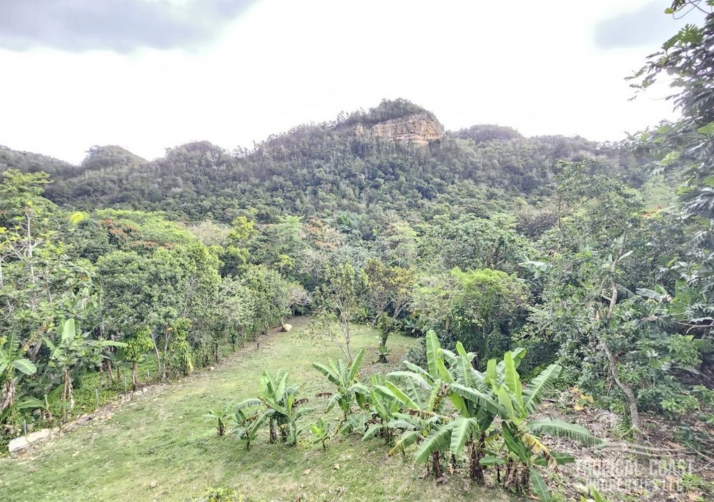 Bo Planos- Carr 476 Km 13.6 Arriba Isabela 00662 PR