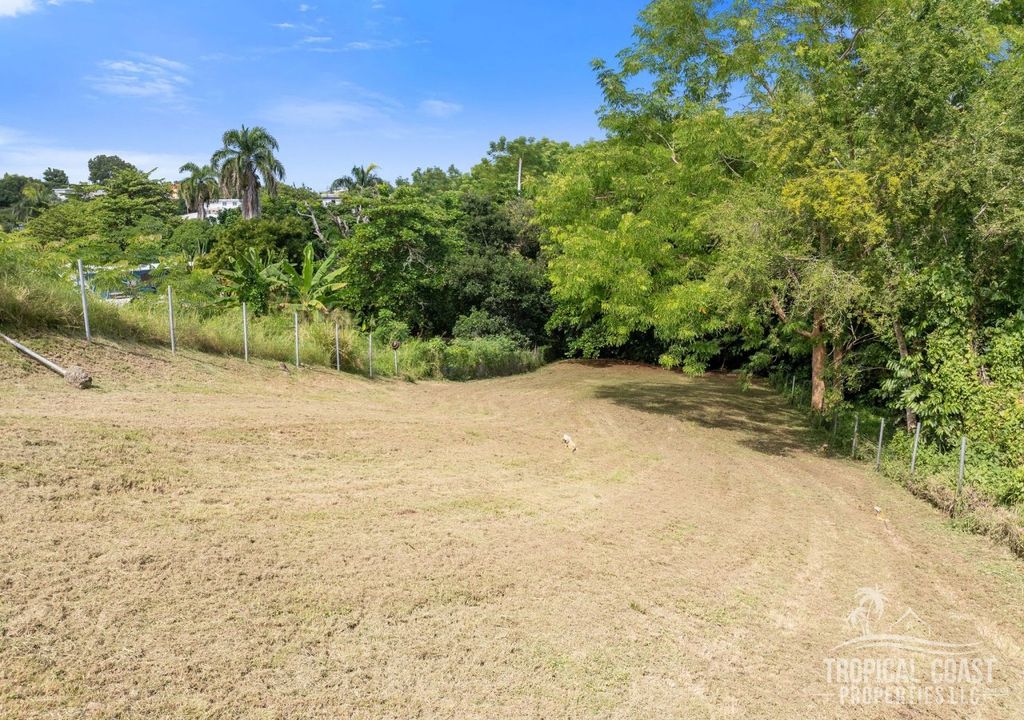 Bo Pueblo- Carr 412 Km 0.6 Int Lot 4 Rincon 00677 PR
