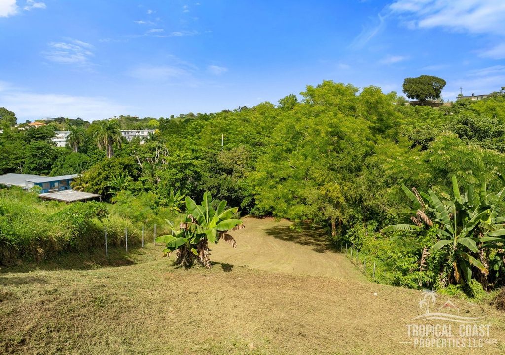 Bo Pueblo- Carr 412 Km 0.6 Int Lot 4 Rincon 00677 PR