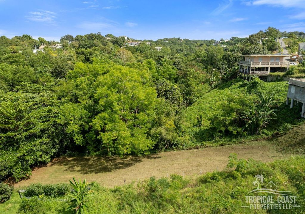 Bo Pueblo- Carr 412 Km 0.6 Int Lot 4 Rincon 00677 PR