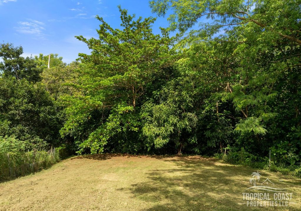 Bo Pueblo- Carr 412 Km 0.6 Int Lot 4 Rincon 00677 PR