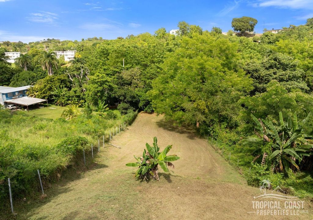 Bo Pueblo- Carr 412 Km 0.6 Int Lot 4 Rincon 00677 PR