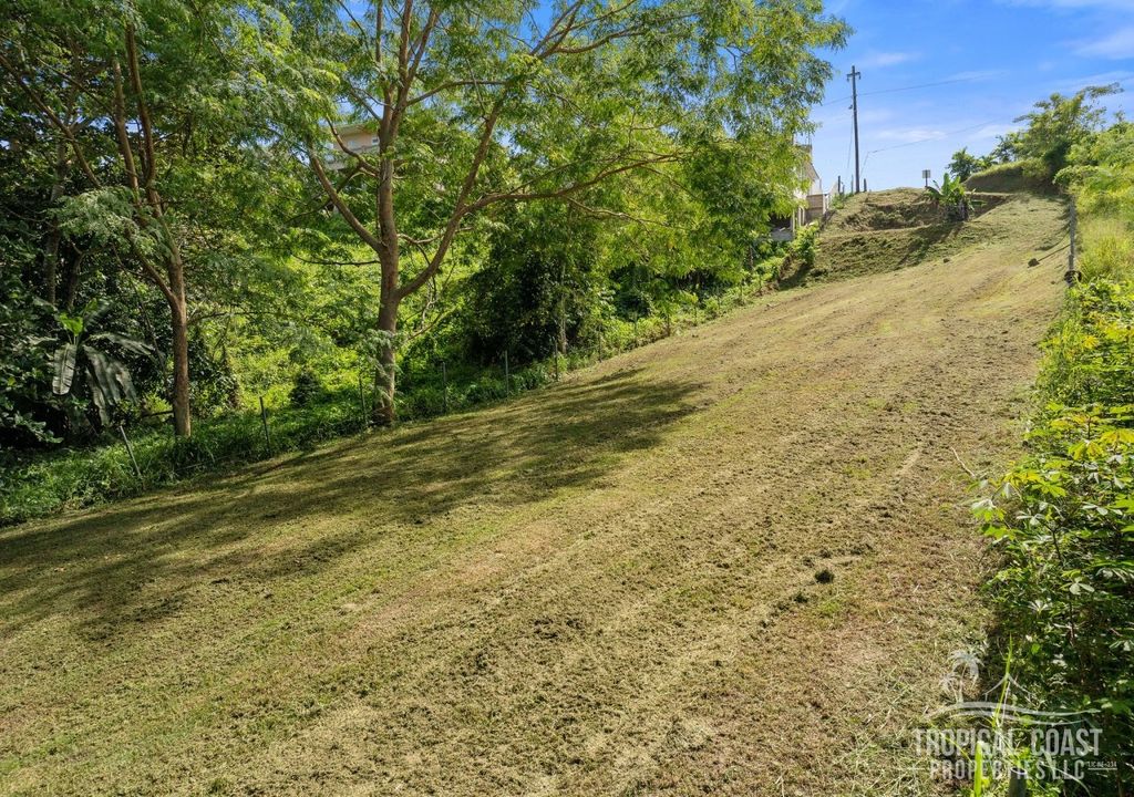 Bo Pueblo- Carr 412 Km 0.6 Int Lot 4 Rincon 00677 PR