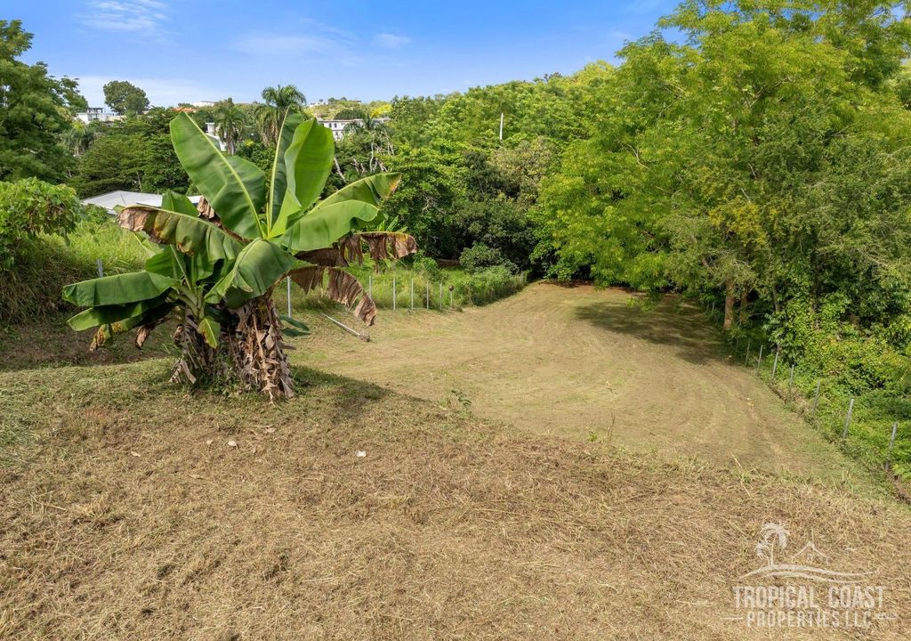 Bo Pueblo- Carr 412 Km 0.6 Int Lot 4 Rincon 00677 PR