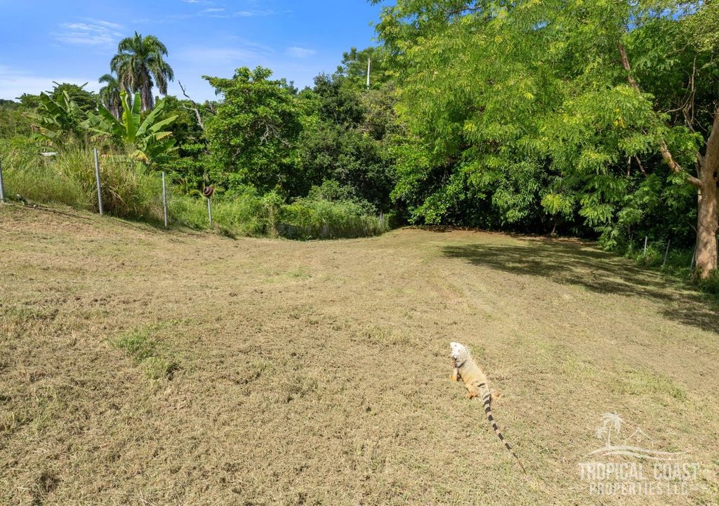 Bo Pueblo- Carr 412 Km 0.6 Int Lot 4 Rincon 00677 PR