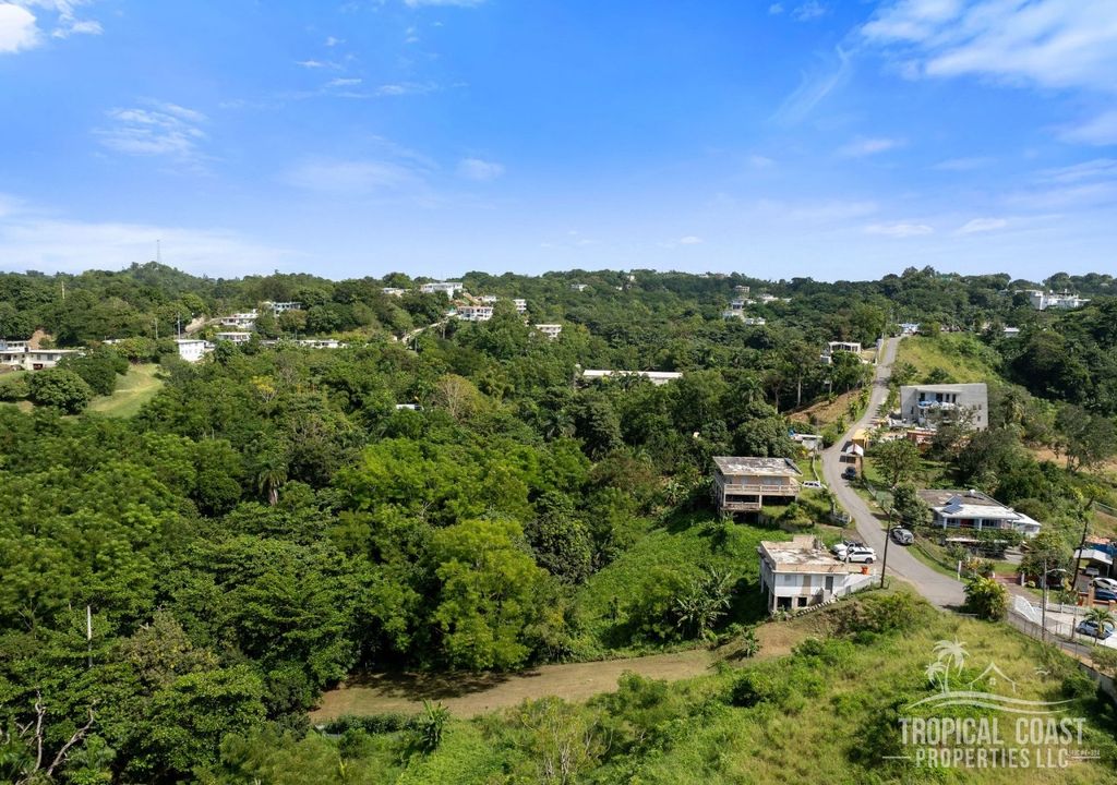Bo Pueblo- Carr 412 Km 0.6 Int Lot 4 Rincon 00677 PR