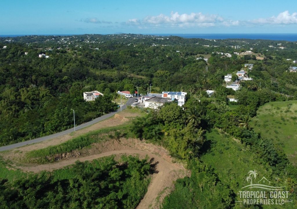 Bo Jaguey- Carr 411 Km 4.2- Solar #1 Aguada 00602 PR