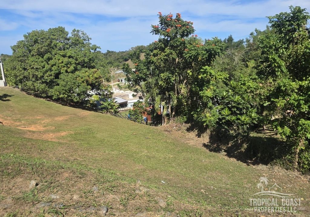 Bo Guayabo- Carr 414 Km 6.1 Aguada 00602 PR