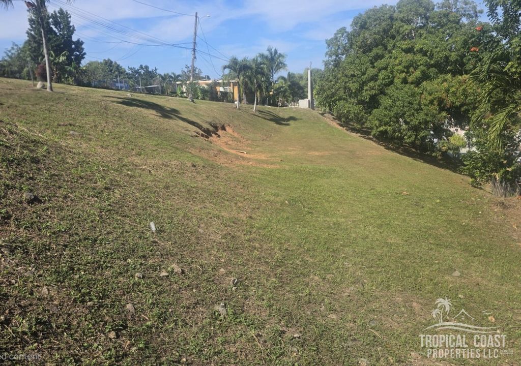 Bo Guayabo- Carr 414 Km 6.1 Aguada 00602 PR