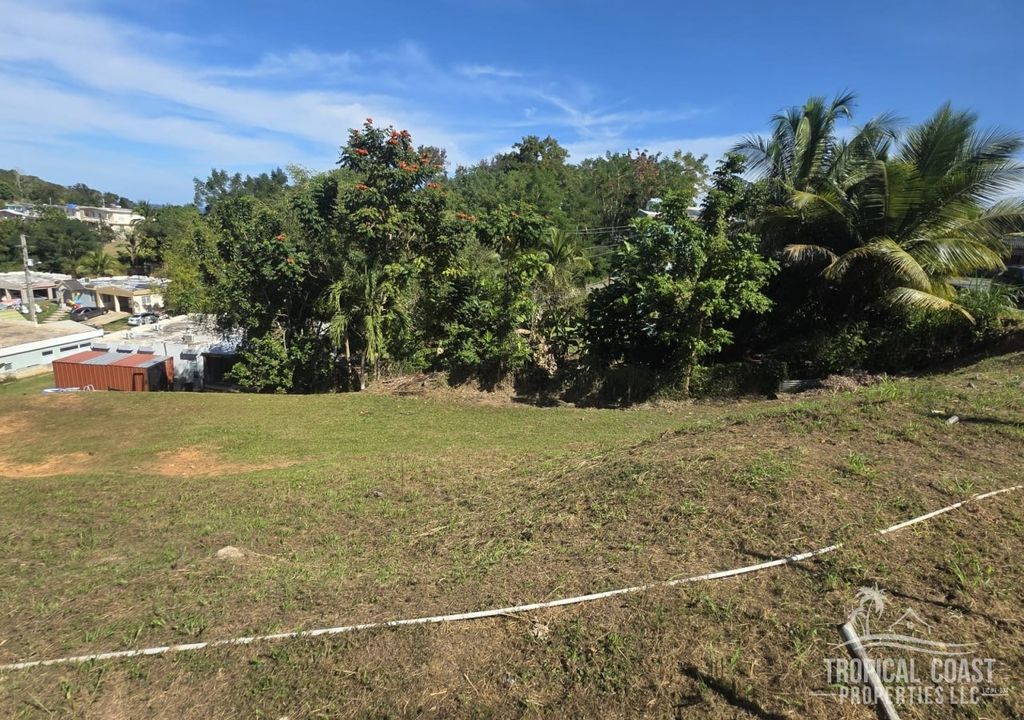 Bo Guayabo- Carr 414 Km 6.1 Aguada 00602 PR