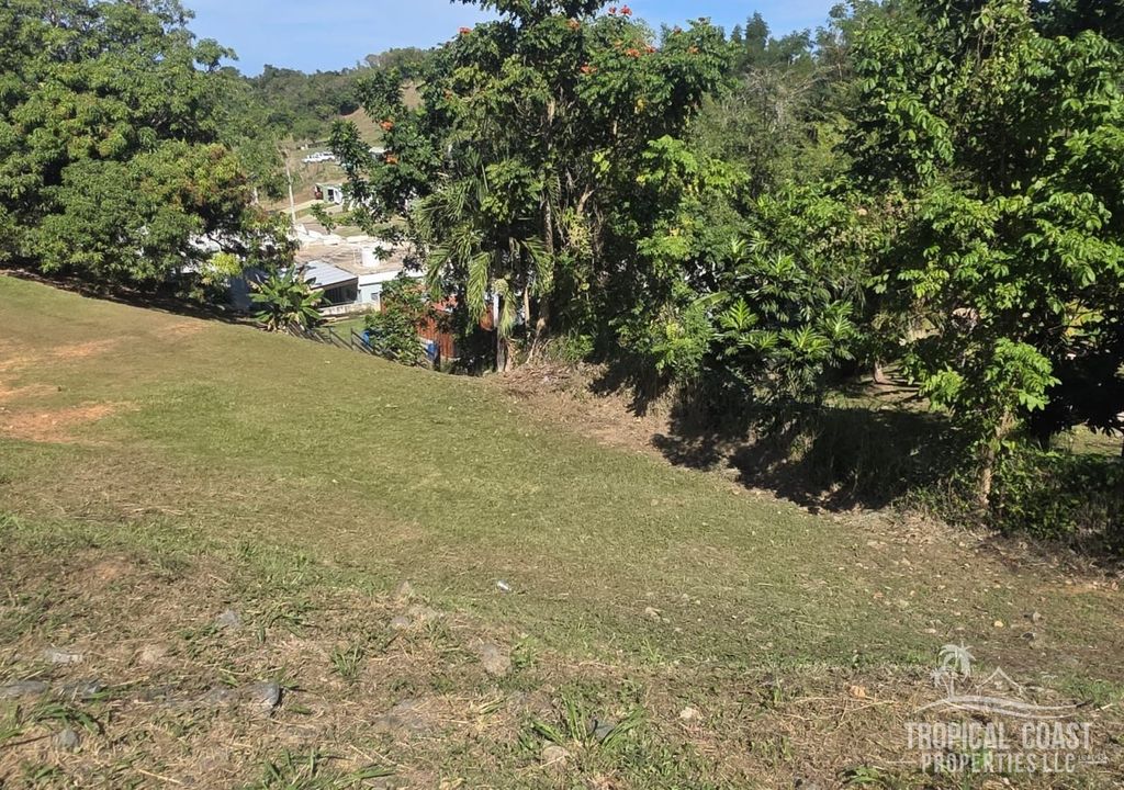 Bo Guayabo- Carr 414 Km 6.1 Aguada 00602 PR