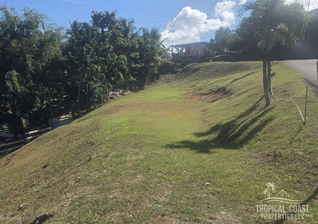 Bo Guayabo- Carr 414 Km 6.1 Aguada 00602 PR