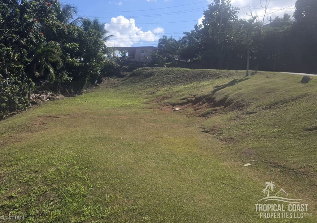 Bo Guayabo- Carr 414 Km 6.1 Aguada 00602 PR