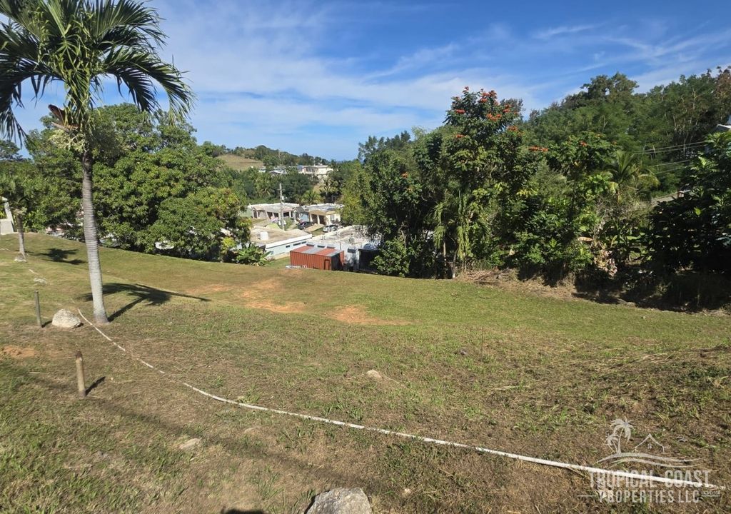 Bo Guayabo- Carr 414 Km 6.1 Aguada 00602 PR