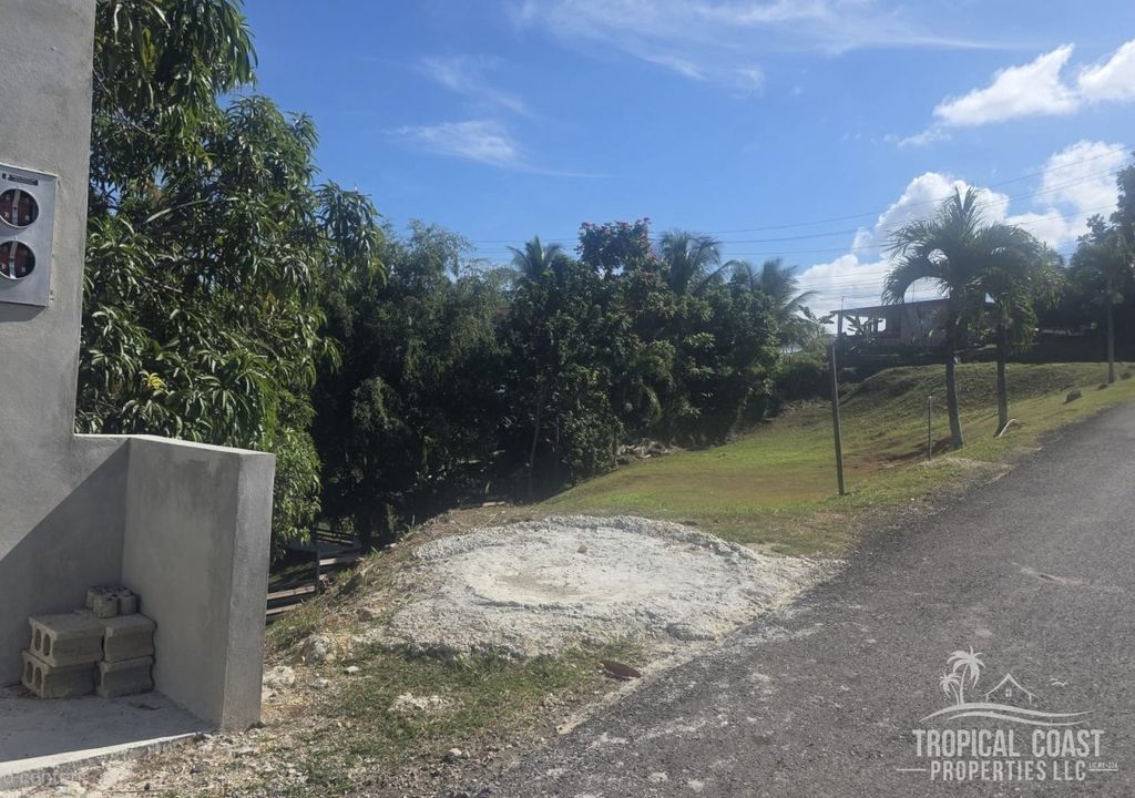 Bo Guayabo- Carr 414 Km 6.1 Aguada 00602 PR