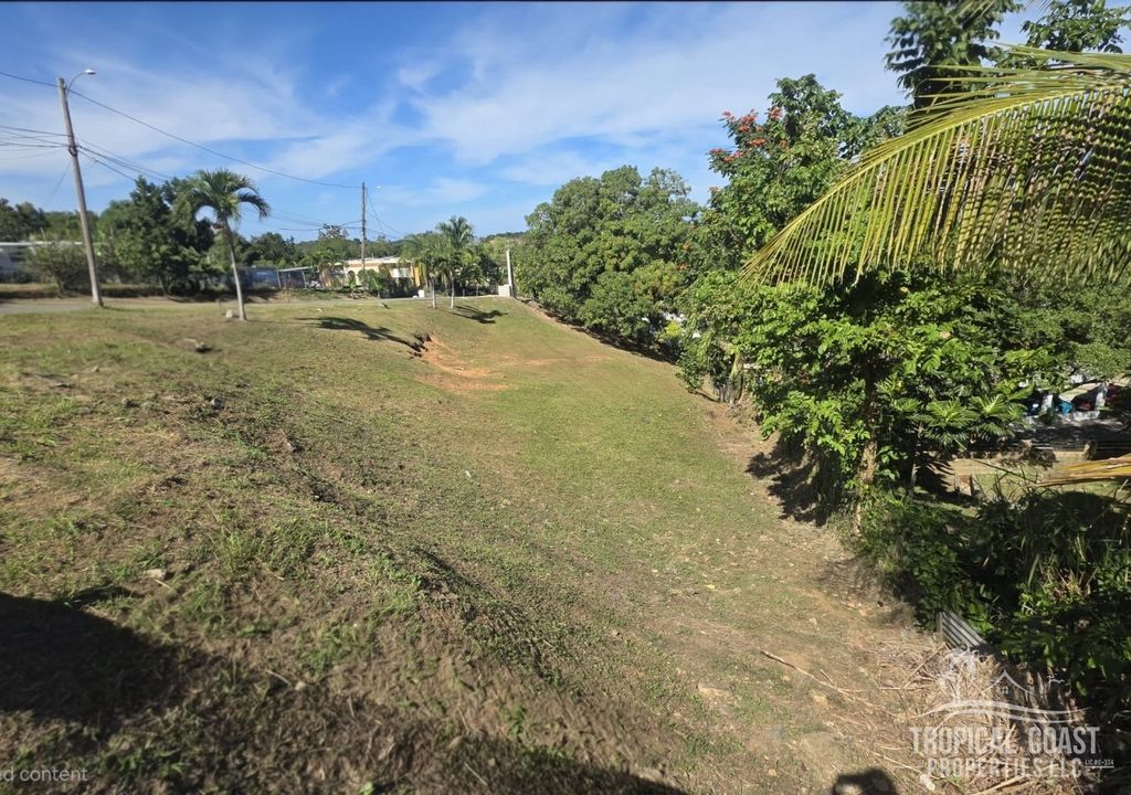 Bo Guayabo- Carr 414 Km 6.1 Aguada 00602 PR