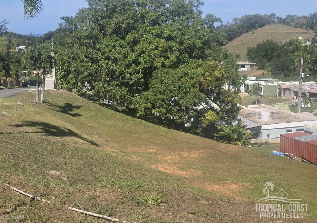 Bo Guayabo- Carr 414 Km 6.1 Aguada 00602 PR