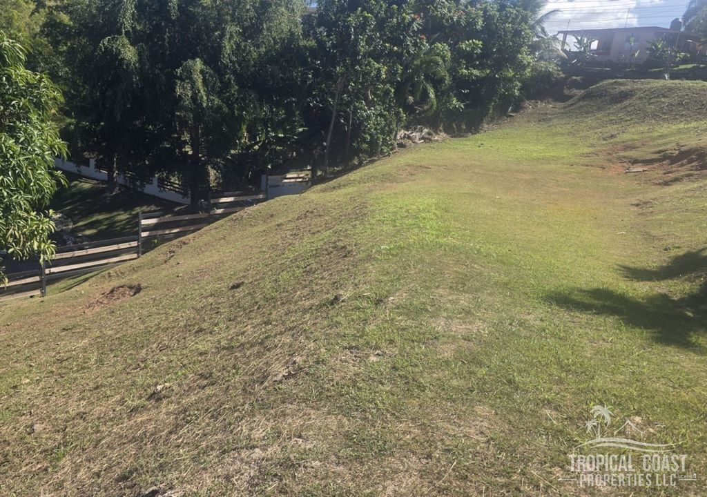 Bo Guayabo- Carr 414 Km 6.1 Aguada 00602 PR