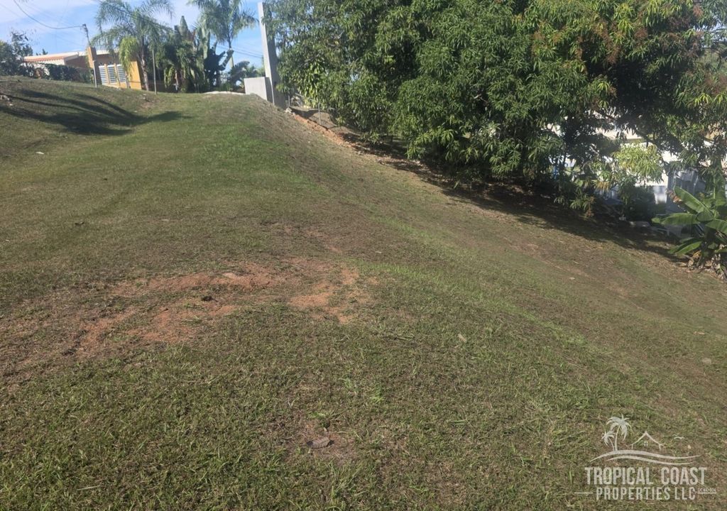 Bo Guayabo- Carr 414 Km 6.1 Aguada 00602 PR
