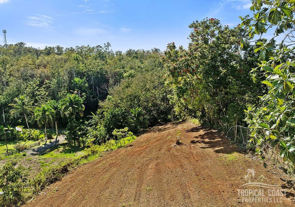 Bo Guayabo- Carr 414 Km 5.7 Aguada 00602 PR