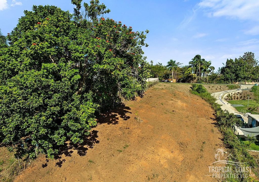 Bo Guayabo- Carr 414 Km 5.7 Aguada 00602 PR