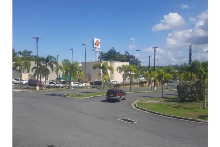 Cr39+q9x Bayamon 00959 PR