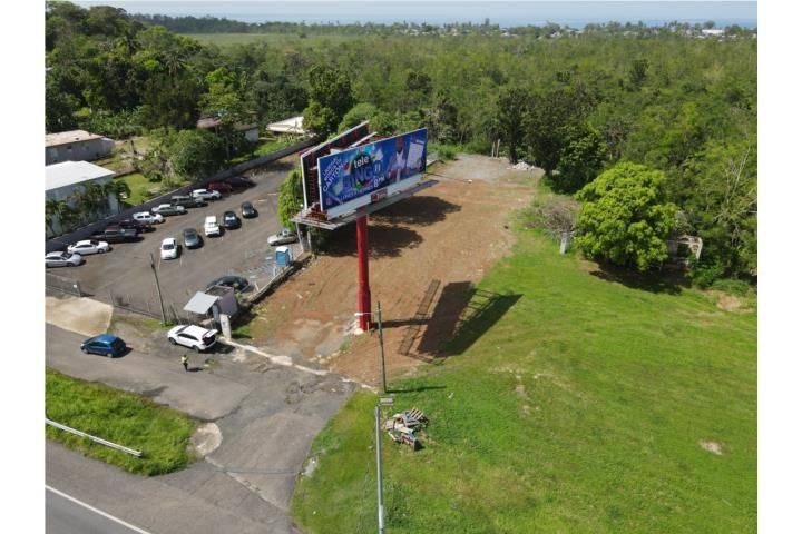 Av. Algarrobo Mayaguez 00682 PR