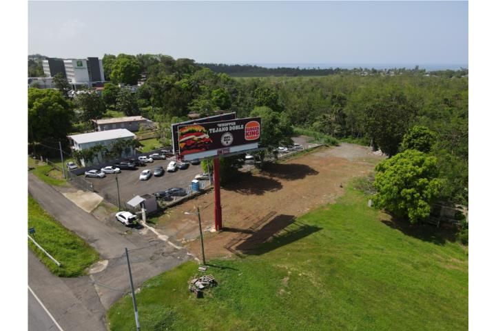 Av. Algarrobo Mayaguez 00682 PR