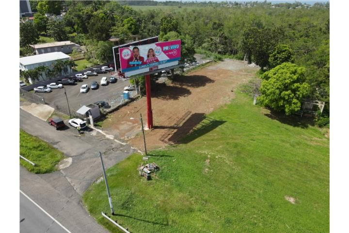 Av. Algarrobo Mayaguez 00682 PR