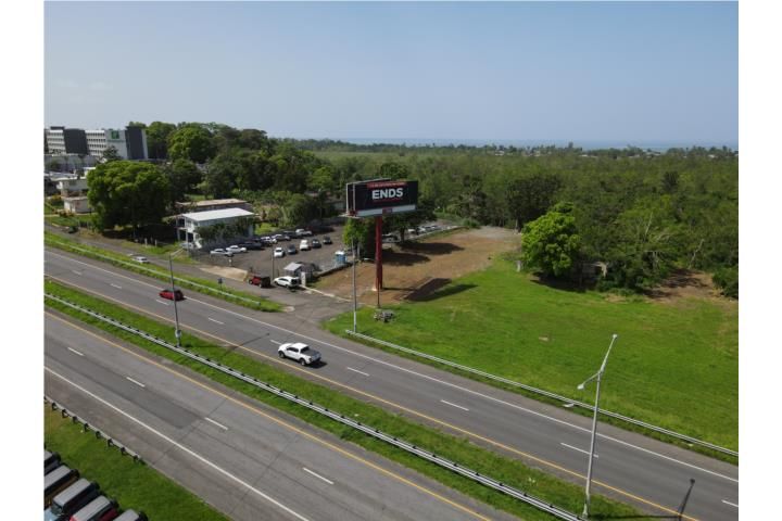Av. Algarrobo Mayaguez 00682 PR