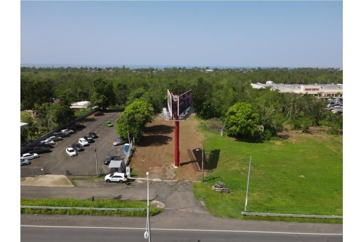 Av. Algarrobo Mayaguez 00682 PR