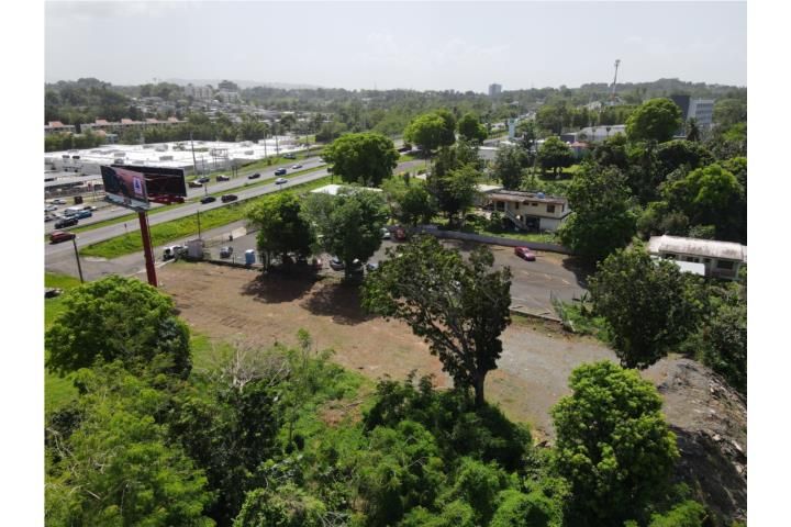 Av. Algarrobo Mayaguez 00682 PR
