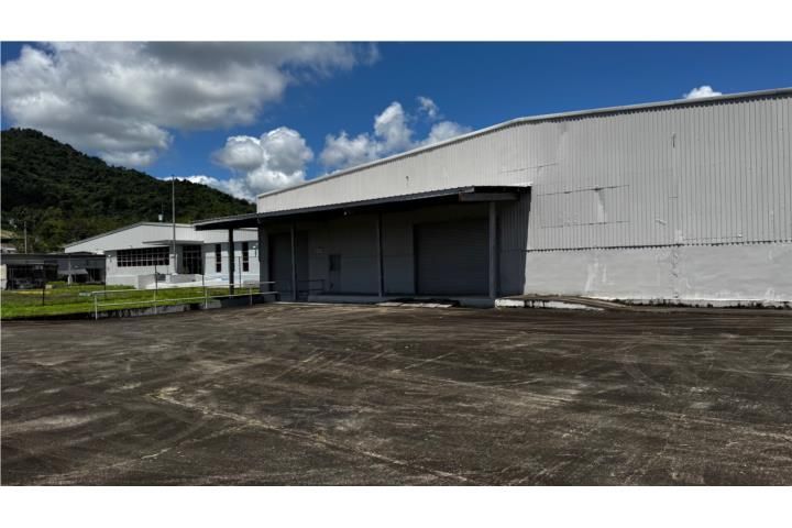 Hato San Lorenzo 00754 PR