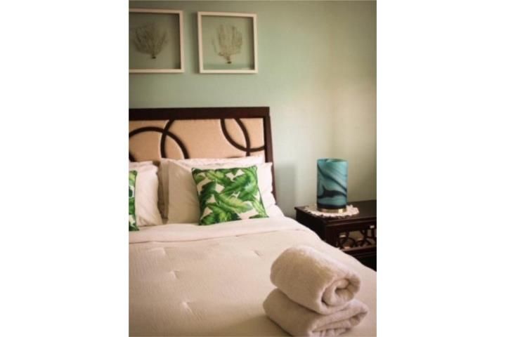 45 Benjamín Gómez Street Rincon 00677 PR