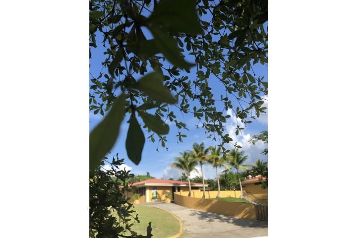 La Muda Guaynabo 00971 PR
