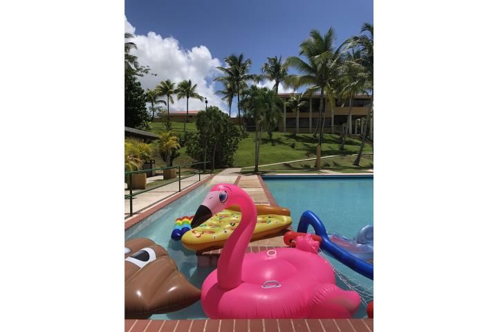La Muda Guaynabo 00971 PR