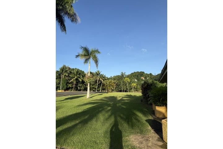 La Muda Guaynabo 00971 PR